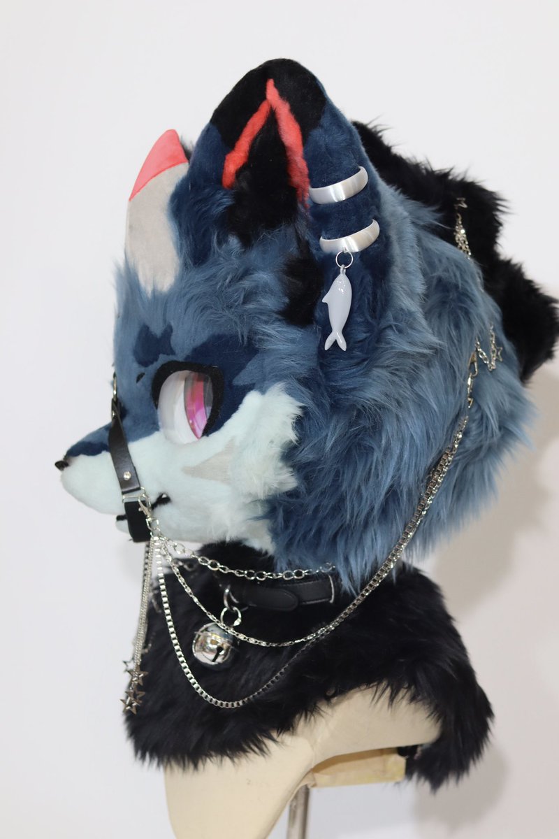 The handsome shark wolf for sale🦈