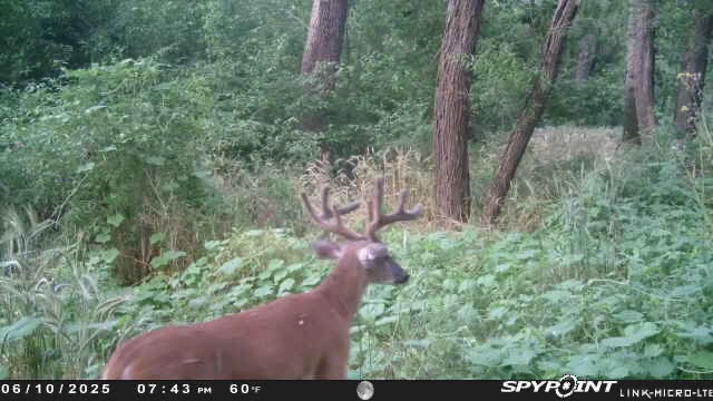 <a href="/HuntFishTravel/">🦃🎙️ Carrie Z 🎙️🇺🇲</a>