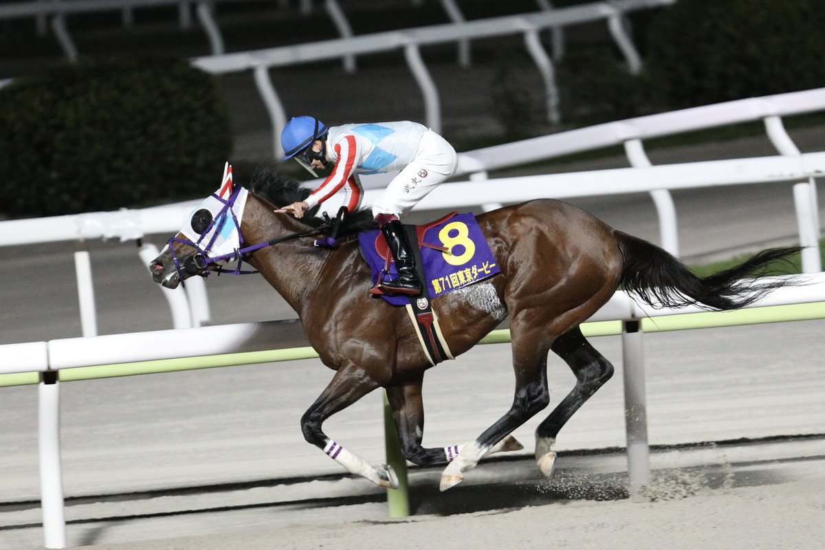 ナチュラルライズたけしくん
東京ダービー制覇おめでとう✌️