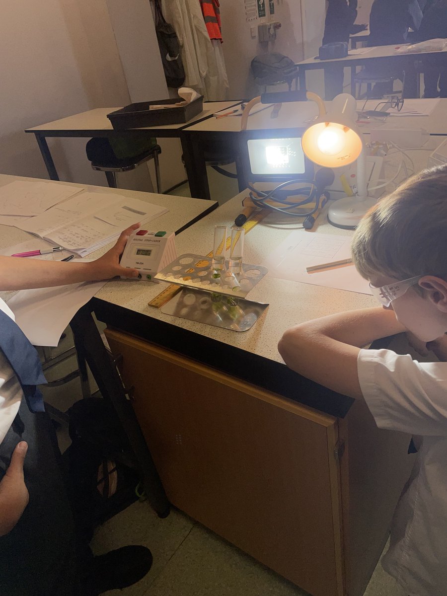 🌱Year 7 got hands-on with science this week in a fun photosynthesis practical! 🌞🧪 Exploring how plants make their own food—great work, budding scientists! 💡🌿 #ScienceInAction #Photosynthesis #WestExeScience