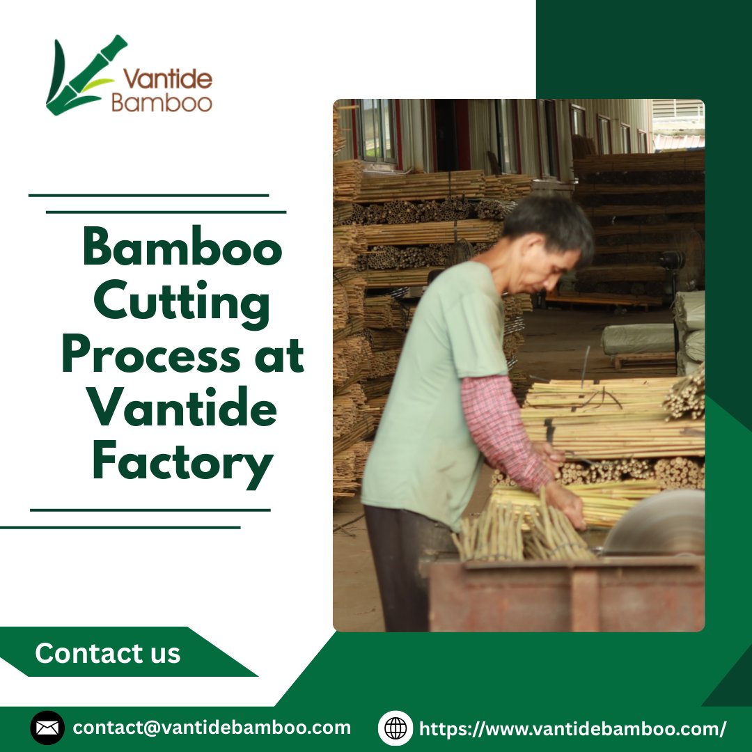 vantidebamboo's tweet image. Our cutting process ensures each bamboo piece meets exact specifications for bulk orders. #BambooProcessing #PrecisionCutting #FactoryOperations #BulkBamboo #B2BManufacturing #SustainableProduction

Email: contact@vantidebamboo.com
Visit: vantidebamboo.com