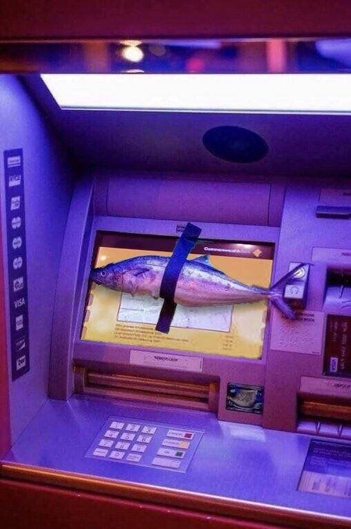 Este es el famoso banco de peces?