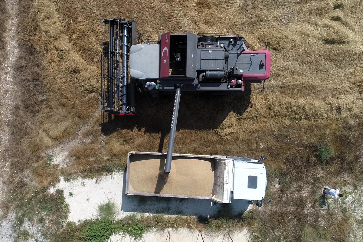 Belediyemiz öz kaynaklarıyla ilçemiz genelinde ekimi yapılan buğdaylarımızın hasadı başlamıştır. 🌾🚜
Verimli topraklarımızdan en iyi şekilde faydalanmak ve ilçemize katkı sağlamak için çalışmalarımız aralıksız devam ediyor.