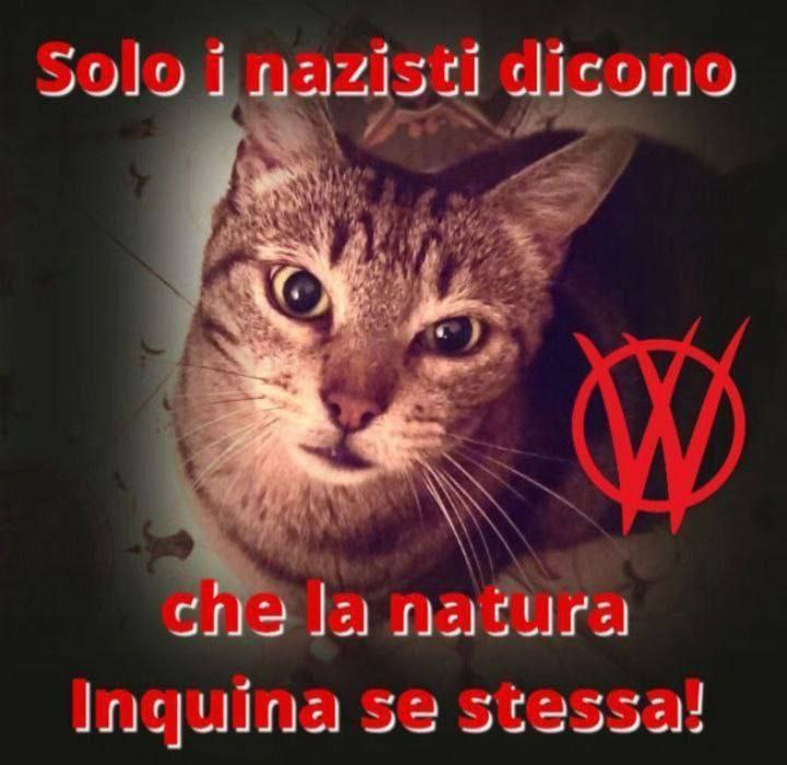 QUELLI CHE ROVINANO LA NATURA SONO GLI STESSI CHE POTREBBERO METTERE FINE IN UN SECONDO AL BRACCONAGGIO E ALL'UCCISIONE DI ANIMALI MAGNIFICI
👉 SONO LE ÈLITES NAZICOM CHE POSSEGGONO MULTINAZIONALI E INDUSTRIE🤬‼️

#V_V 
t.me/+lhoMU8zCHpdhZ…