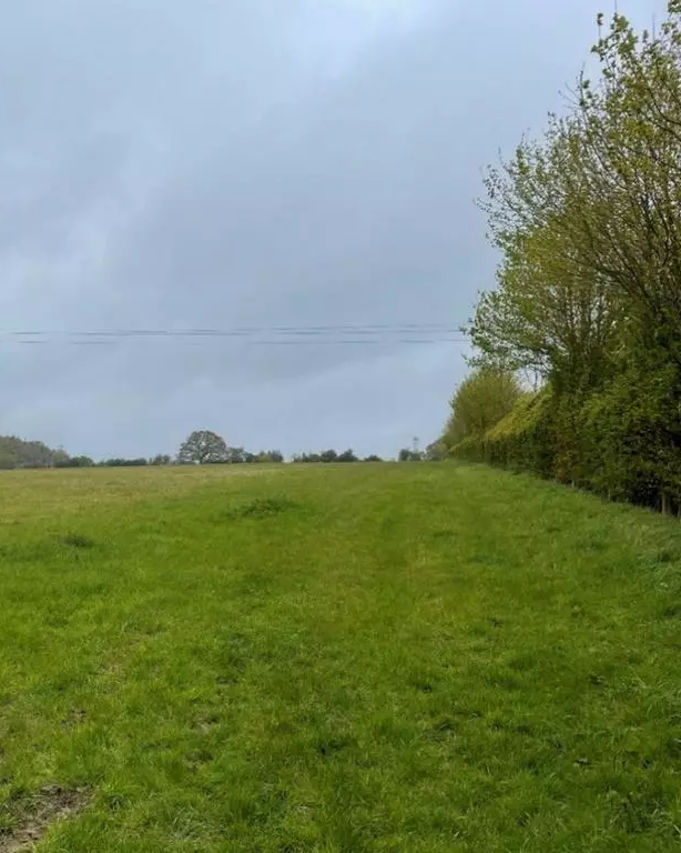 Weldon Beesly tweet media