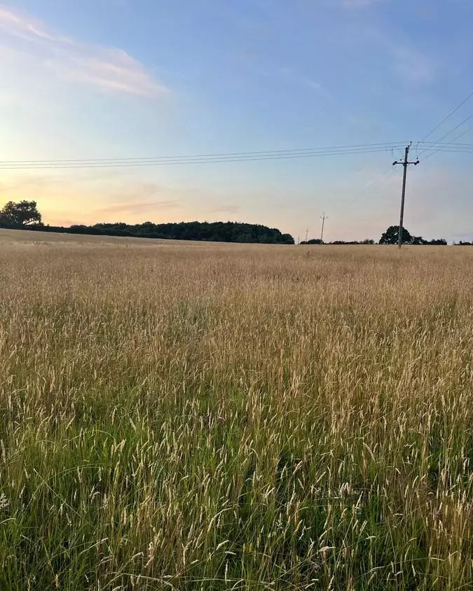 Weldon Beesly tweet media