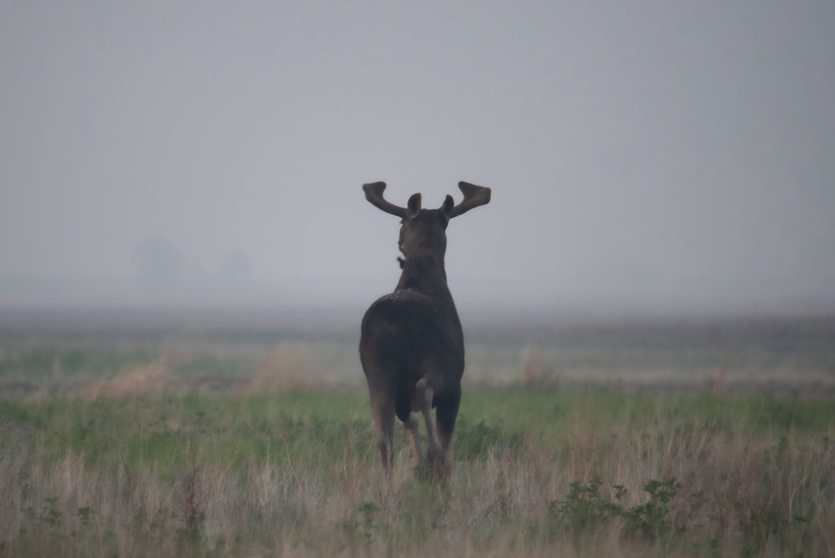 Dylan Bertholet tweet media