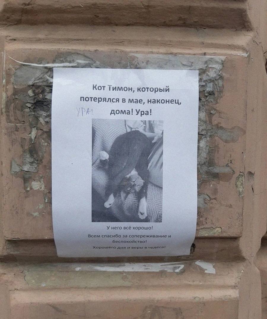 Хочется видеть только такие объявления