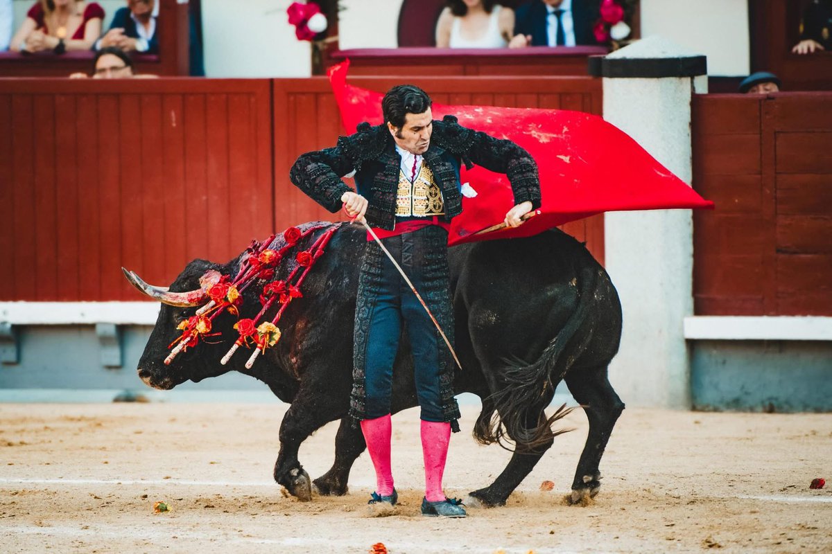 Cada cual mejor que la anterior.