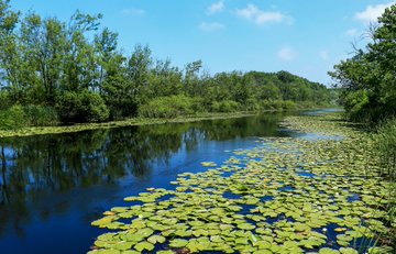 Sakarya’nın Tabiat Cenneti Ziyaretçi Rekoru Kırdı