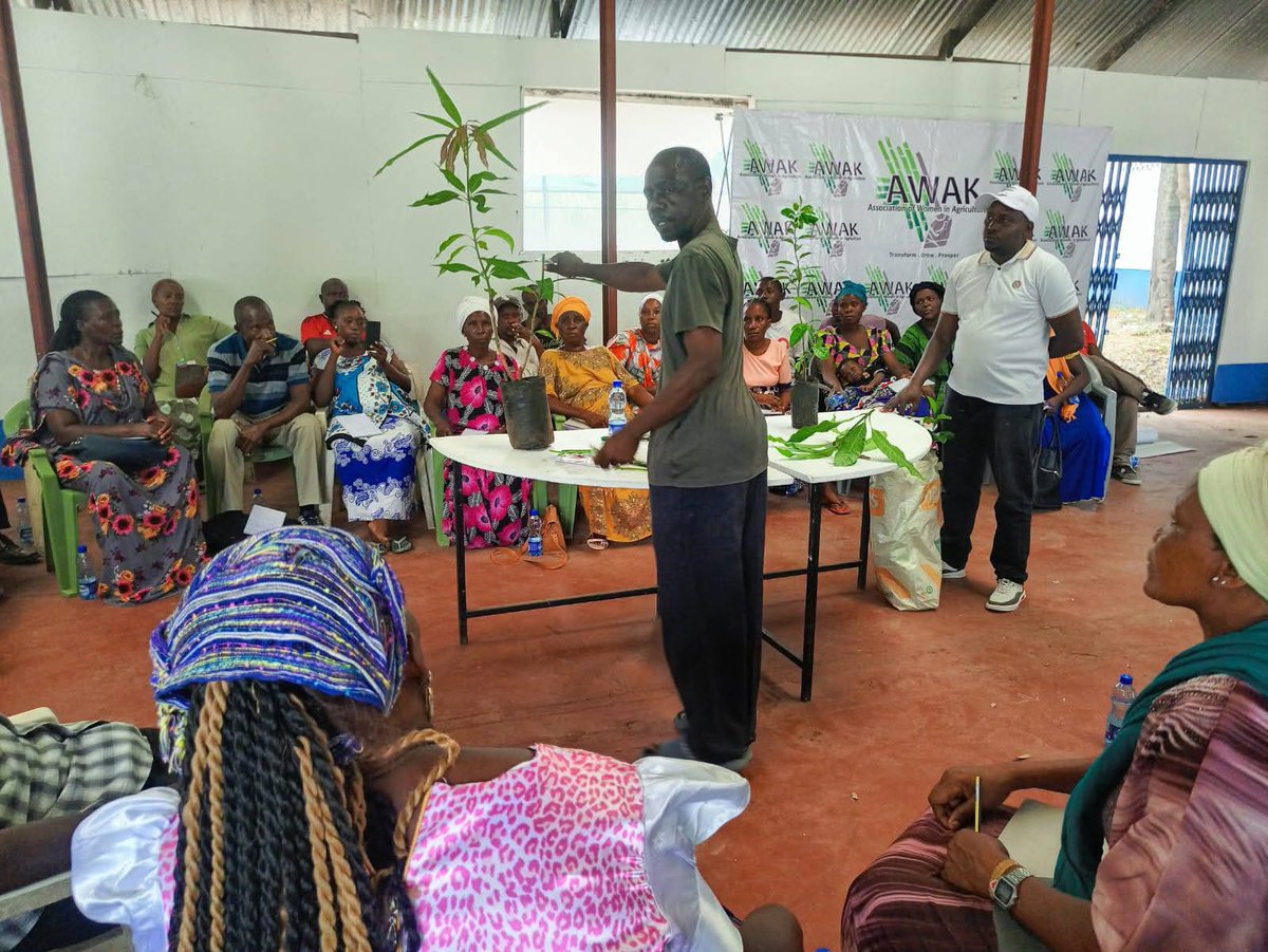 AWAK - Association of Women in Agriculture Kenya tweet media