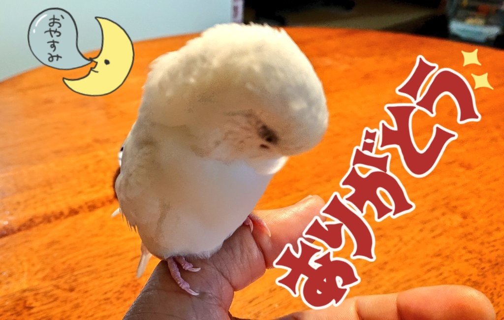 今日は和やかに１日を過ごすことが出来ました🤗
とは言え、まだ週半ば油断大敵😆
明日もいつもとかわりなく頑張ります😊
それでは、
お疲れさまでした🙋
おやすみなさい🙋
明日も平安でありますように🙋