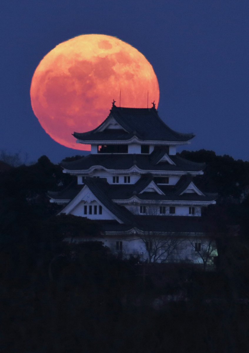 wagoimages's tweet photo. 今年出版した写真集「風紡ぐ」に選外となった写真を残念写真として載せていこうと思います。
残念1作品目　川島城と赤月

風紡ぐは160ページの写真集です。
僕の住む川島町にスポットを当てたものです。
我が家から車で10分以内で行ける絶景写真集です。
詳しくはこちらから
https://t.co/wYIdv5YxqP https://t.co/UXQ2UOE5ci