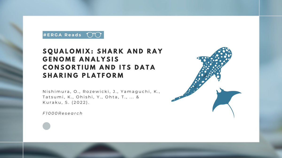 European Reference Genome Atlas (@erga_biodiv) on Twitter photo #ERGAReads | This week, we highlight <a href="/Squalomix4earth/">𝙎𝙦𝙪𝙖𝙡𝙤𝙢𝙞𝙭 - shark & ray genomics & beyond</a>, our newest associated partner 🦈🧬 Squalomix tackles key challenges in studying #elasmobranch genomics through advanced cytological techniques and high-fidelity long-read sequencing.
🔗 f1000research.com/articles/11-10…
#sharks #rays #ERGAReads | This week, we highlight <a href="/Squalomix4earth/">𝙎𝙦𝙪𝙖𝙡𝙤𝙢𝙞𝙭 - shark & ray genomics & beyond</a>, our newest associated partner 🦈🧬 Squalomix tackles key challenges in studying #elasmobranch genomics through advanced cytological techniques and high-fidelity long-read sequencing.
🔗 f1000research.com/articles/11-10…
#sharks #rays