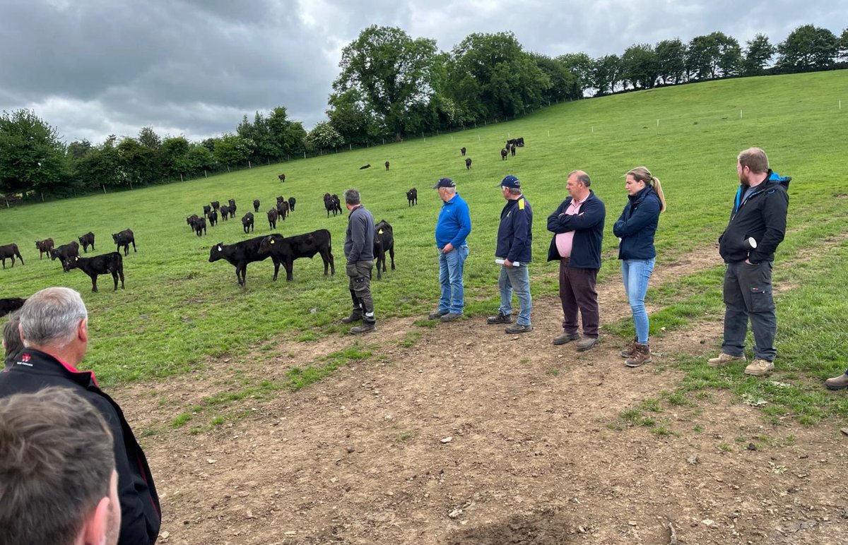Brilliant turnout and great interaction for the first meeting of our newly formed Carlow/Wicklow Calf to Beef Group. Many thanks to group member Derek Beattie for hosting. The group is facilitated by local adviser Peter Lawrence &amp; DairyBeef500 programme adviser Gordon Peppard