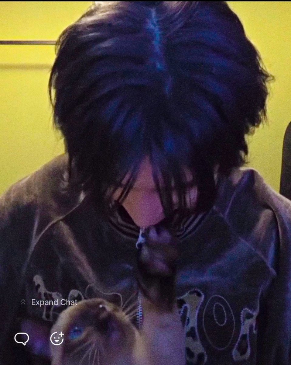 0528_files's tweet image. facts about seok gia that we know🐱

— named from lu“gia”
— a prince and so pretty that matthew also thought was girl  
— communicate in english but in korean when saying to sit down
— loves chewing matthew's hair
— loves jumping on matthew's feet and sleeps right beside his head