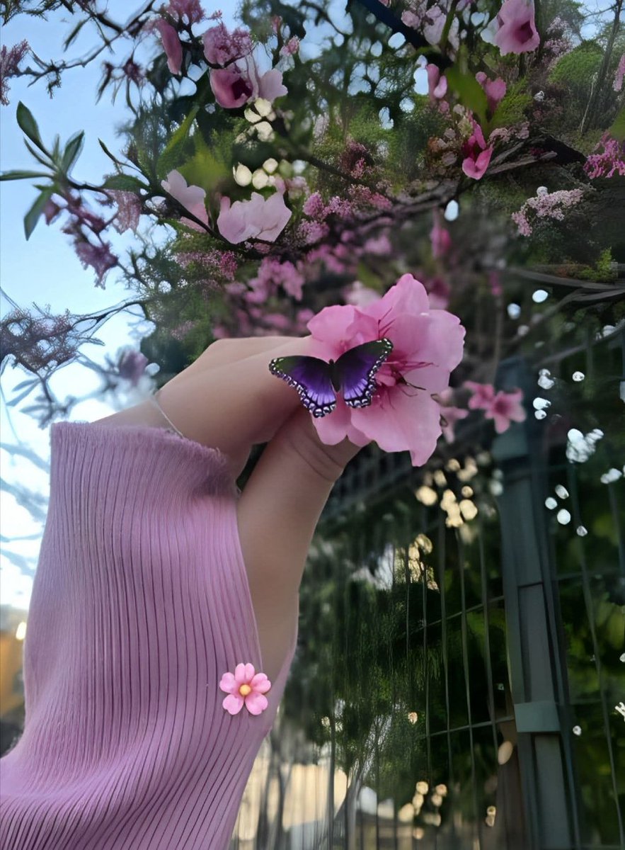 🦋ɑ̈ɹɹ̈̇ɹȊȷᓅ🦋 tweet media