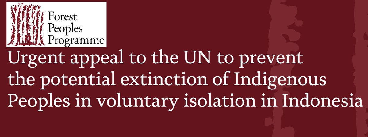 READ: Urgent appeal to the #UN to prevent the potential extinction of #IndigenousPeoples in voluntary isolation in #Indonesia 

Read full article 🔗 tinyurl.com/2axa3hbs
Read full version of the Appeal 🔗tinyurl.com/2byezh3f