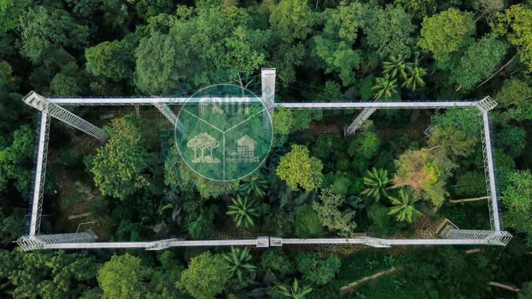 FRIMKepong's tweet photo. Tahu tak? Kafe #MimpiHutan sebenarnya dalam Taman Botani Kepong @FRIMKepong!🌿
✅ Perlu bayar caj masuk & parkir
🚫 Tiada haiwan peliharaan ya!
🌳Jangan lupa explore #ForestSkywalk & landskap hijau✨
🎟️Beli tiket: https://t.co/b1NDvwxT0q
#KafeDalamHutan #KBG #JomFRIM #EcoCafe https://t.co/WhkLZEkjNx