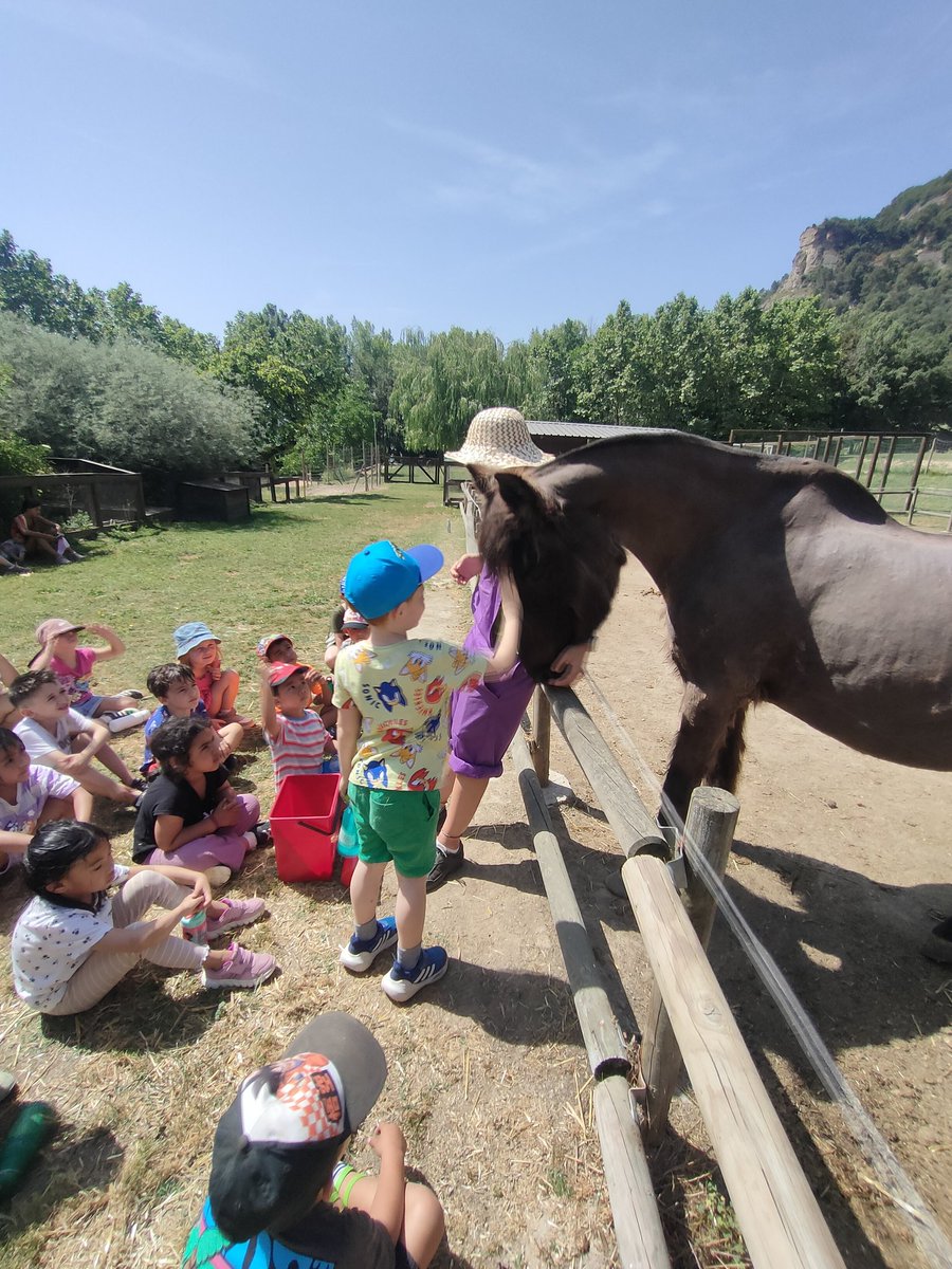 I aquí acaba la nostra aventura a Mas Banyeres, amb el nostre amic Tronqui, els monitors i després d'un matí genial a la granja. Fins aviat! #escolaoberta #intensament