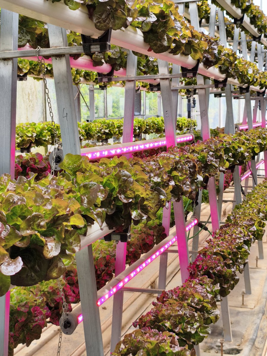 Fco Jesús Gómez tweet media