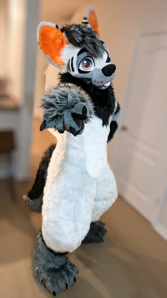 Roofy has officially been finished! 

Thank you so much <a href="/grayestREM/">grayREM</a> for doing an amazing job creating this fluffy boy ❤️

#furry #fursuit #FursuitEveryday