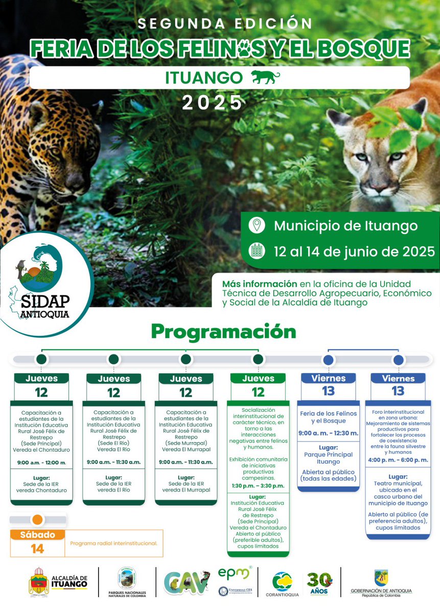 Llega nuestra segunda edición de la Feria de los Felinos y El Bosque 🐆.

Del 12 al 14 de junio en el municipio de Ituango tendremos una programación académica en la que fortaleceremos acciones para la protección de estos importantes animales para nuestro ecosistema 👏👌.