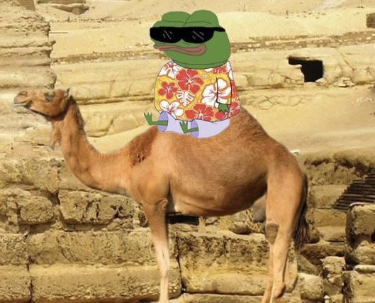 emperorpeppe's tweet image. Gm Gm 🐸

Happy Hump Day