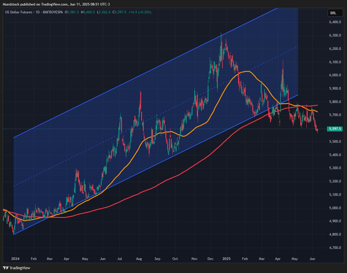 Igor Mundstock tweet media