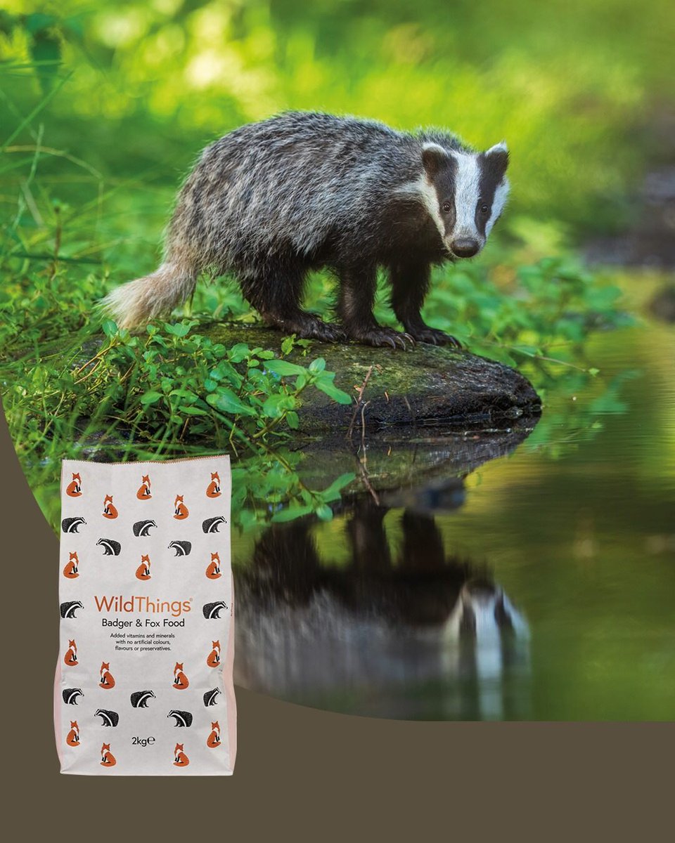 WildThings tweet media