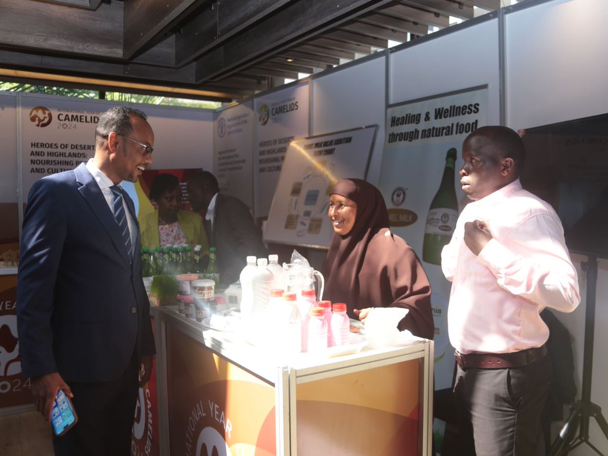 🐪 Transforming livestock systems means better jobs, climate resilience &amp; food security across Africa.

This forum drives that change through policy, innovation &amp; investment.

Find out more bit.ly/43FpI43 

#SustainableLivestock #YearOfCamelids