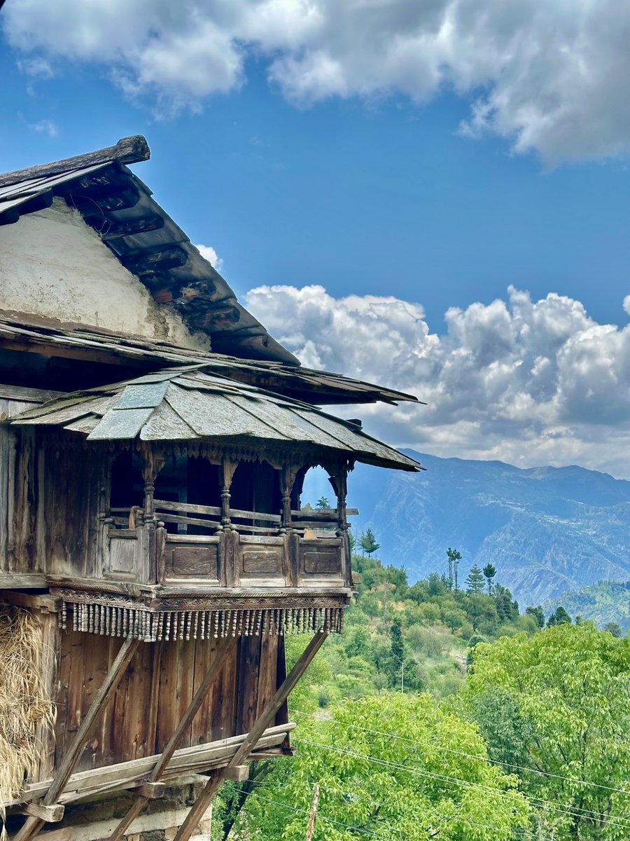 nazariyaa__'s tweet image. That’s the impact of hail on apples … But with proper care like pruning, nutrient sprays and sorting much of the harvest can still be saved. Hailnets add that extra layer of protection. 🍏🌲⛰️
#himachal