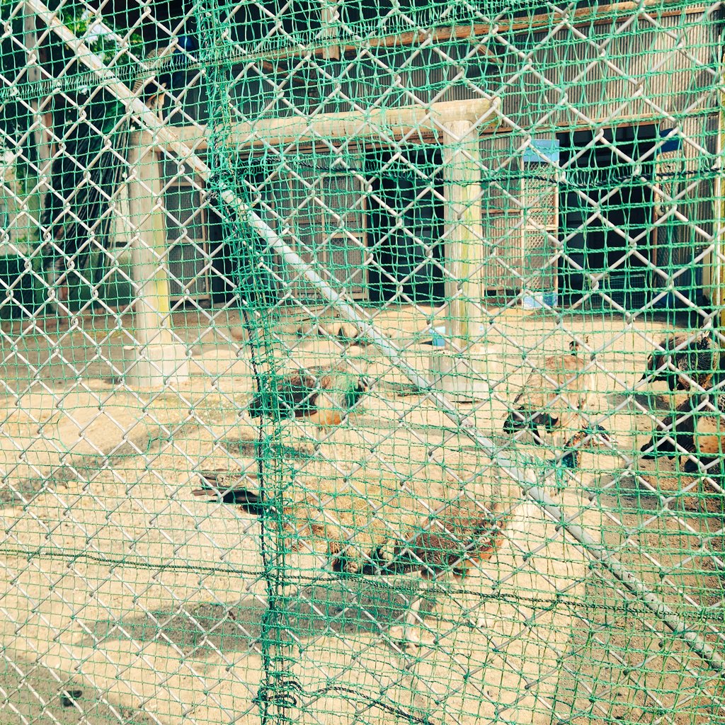 本日！！(6月11日)
22時～23時

Niigata Mix Sand
『ミックスペース😲』

始まります✨️

お楽しみに！！

#ミックスペース
#ニイガタミックスサンド