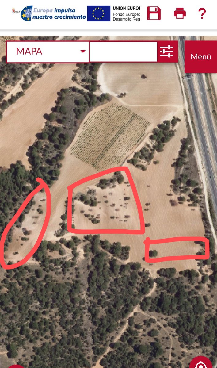 apamcyl's tweet photo. Cuando la agricultura no da ejemplo en cuidar el medio ambiente.
Las infracciones que se cometen contra los terrenos forestales para ampliar y plantar más y más viñedo.
@DORibera 🍇🍷No hace ningún favor ni buena prensa a las Bodegas.
Denuncias sin resolución. 
@jcyl calla 🤐 https://t.co/hXO6IeMvZt