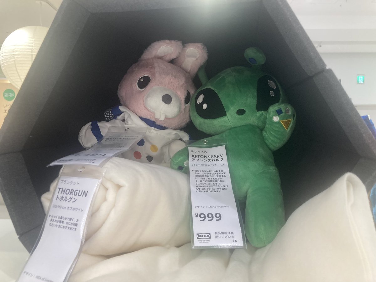 kimishine1984's tweet photo. IKEA宇宙人のディスプレイが見たいがためにIKEA行ってるまである
#IKEA
#IKEAalien https://t.co/YoA7sUpkH8