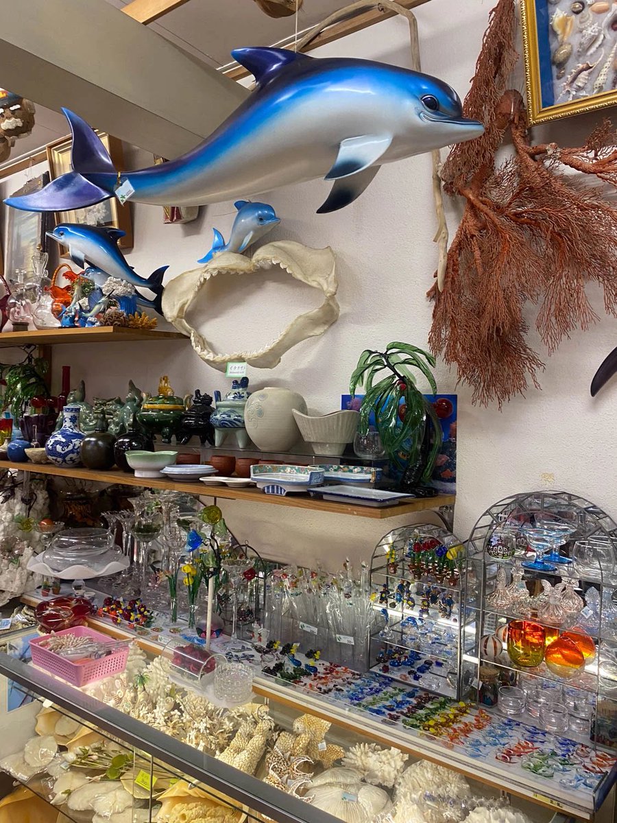 真珠コーナー」をご存知でしょうか？ 富山県魚津市の魚津水族館に隣接