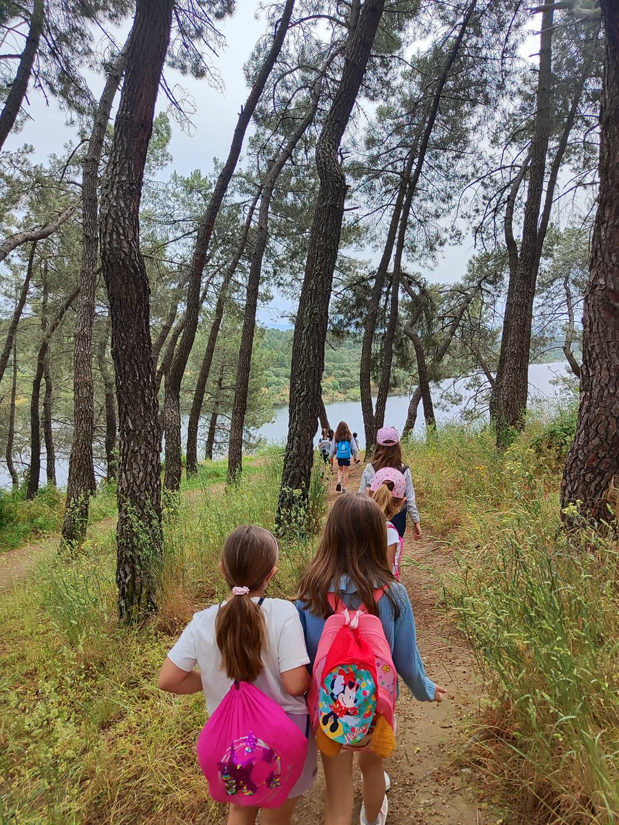 @teacherCastilloHBST tweet media