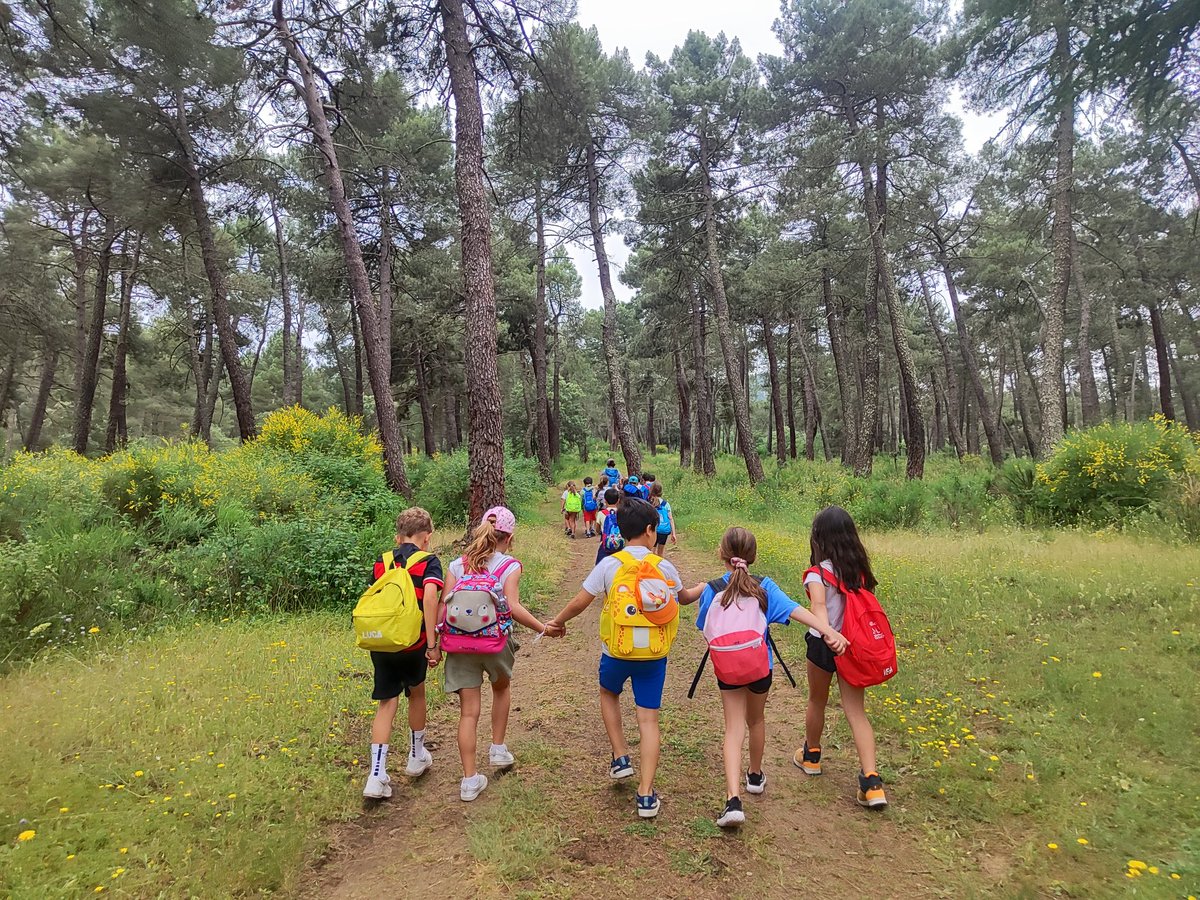 @teacherCastilloHBST tweet media