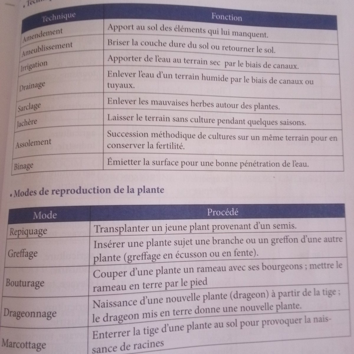 KEBEAB9's tweet image. ENCADREMENT DES ÉLÈVES :
Chers collègues et parents, j'ai révisé aujourd'hui les techniques culturales et les modes de la  reproduction de la plante.
#Niveaucm2
#Cfee
#EducationCMA
@abass_djigo 
@AbsaFaye_SN 
@ASPeulh 
@BantsemI 
@Chachand95