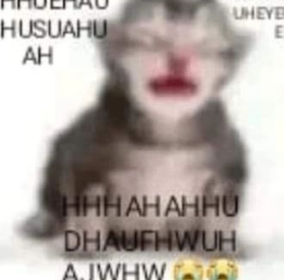 I've never been so disappointed with an update before. I'm genuinely surprised how this update is so ass