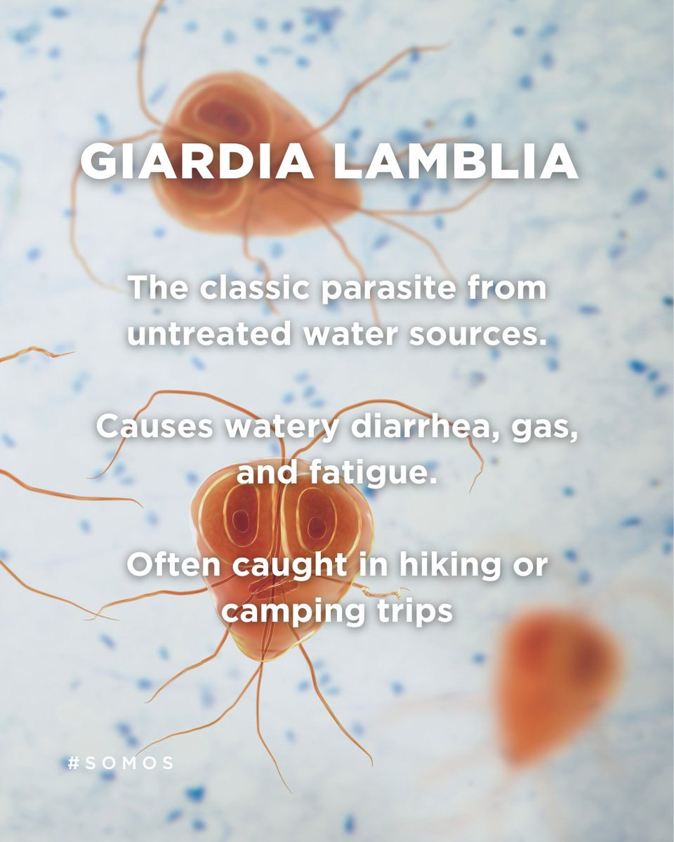 Traveling is amazing but sometimes, your stomach doesn’t agree. If you’ve ever had traveler’s diarrhea, you might be curious about the sneaky parasites that can cause it.

Swipe right for a quick guide to the main culprits 👉

#somoscare #somoshealth