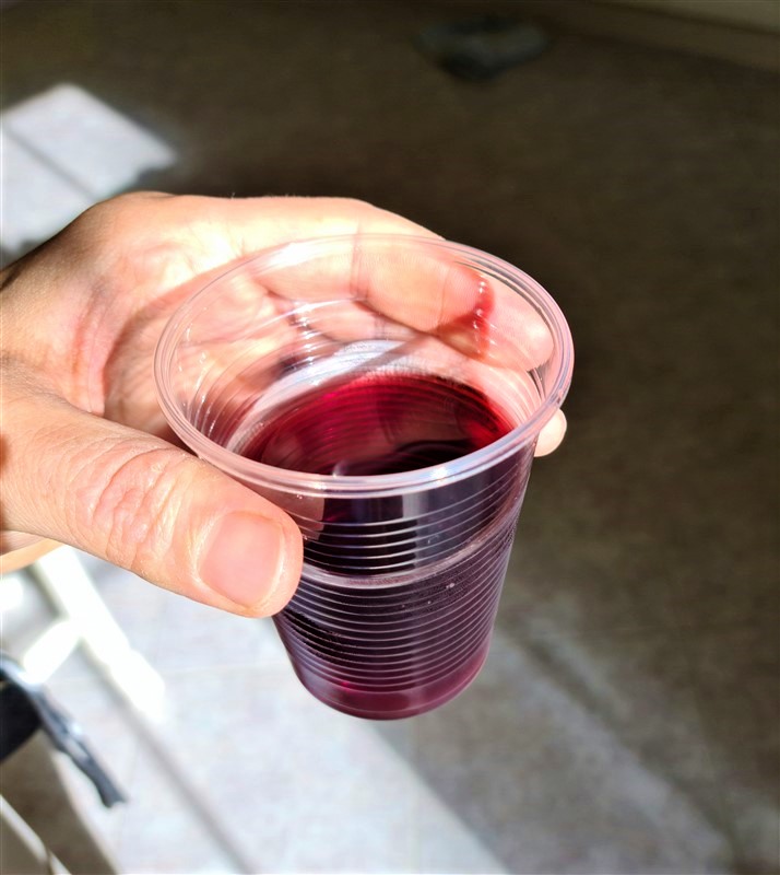 Cannaiola in Borgo e i Vini della Tuscia - Marta (VT) 11-12 / 18-19 luglio 2025 meteomarta.altervista.org/portale/cannai…