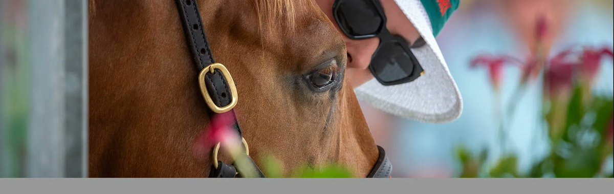 equineline.com (@equineline) on Twitter photo The Magic Millions Perth Winter Yearling Sale 2025 is now available on the <a href="/equineline/">equineline.com</a> Sales Catalog App bit.ly/1sfG8Gq <a href="/mmsnippets/">Magic Millions</a>
If you don’t have the Sales Catalog App, download it for free: apple.co/3FS5I4M The Magic Millions Perth Winter Yearling Sale 2025 is now available on the <a href="/equineline/">equineline.com</a> Sales Catalog App bit.ly/1sfG8Gq <a href="/mmsnippets/">Magic Millions</a>
If you don’t have the Sales Catalog App, download it for free: apple.co/3FS5I4M