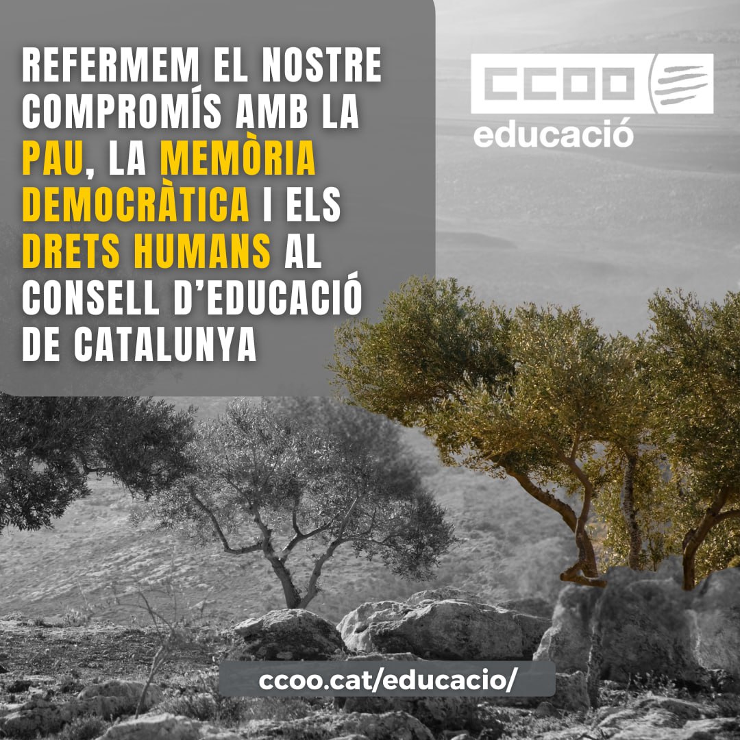 Refermem el nostre compromís amb la pau, la memòria democràtica i els drets humans al Consell d’Educació de Catalunya

🔗 ccoo.cat/educacio/notic…