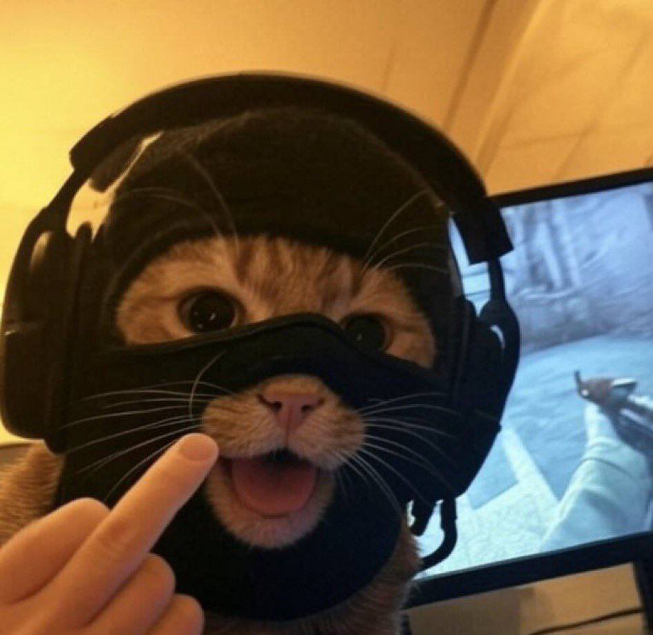 this is my quant

show yours