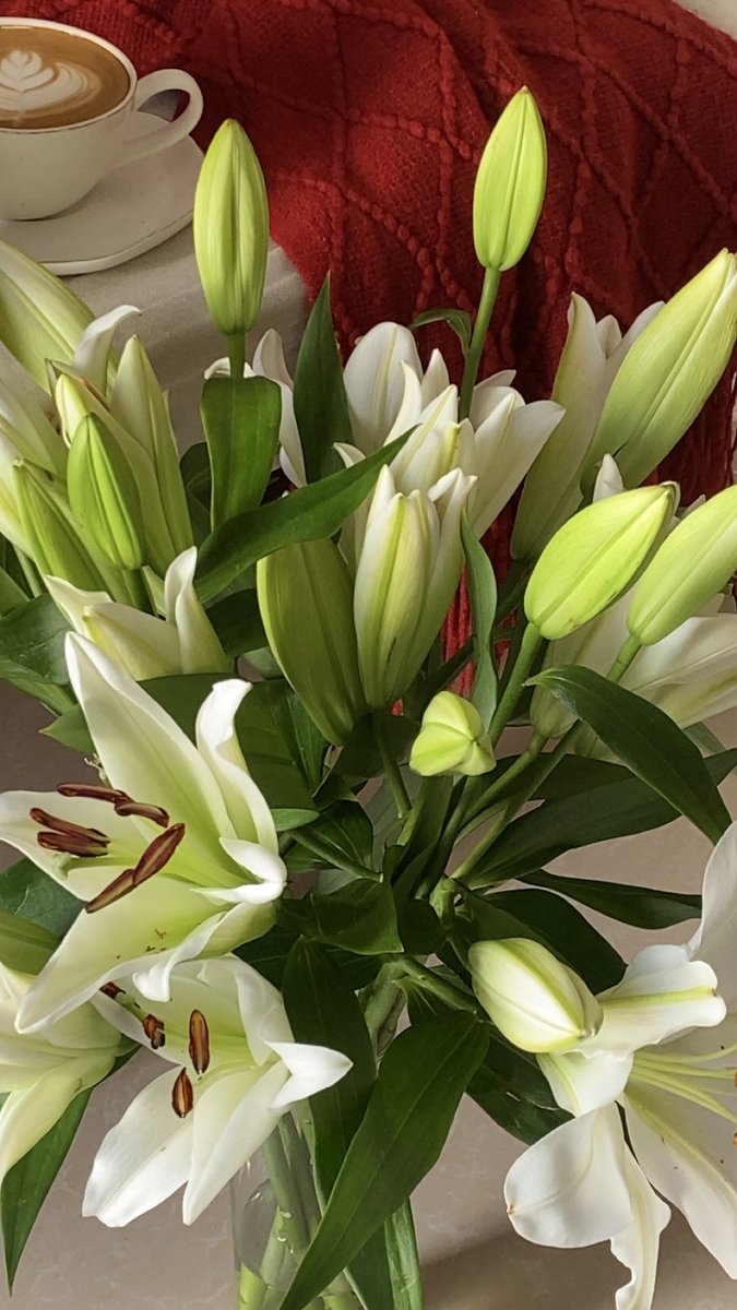 المنظر المَحبوب رُغم تِكراره . .