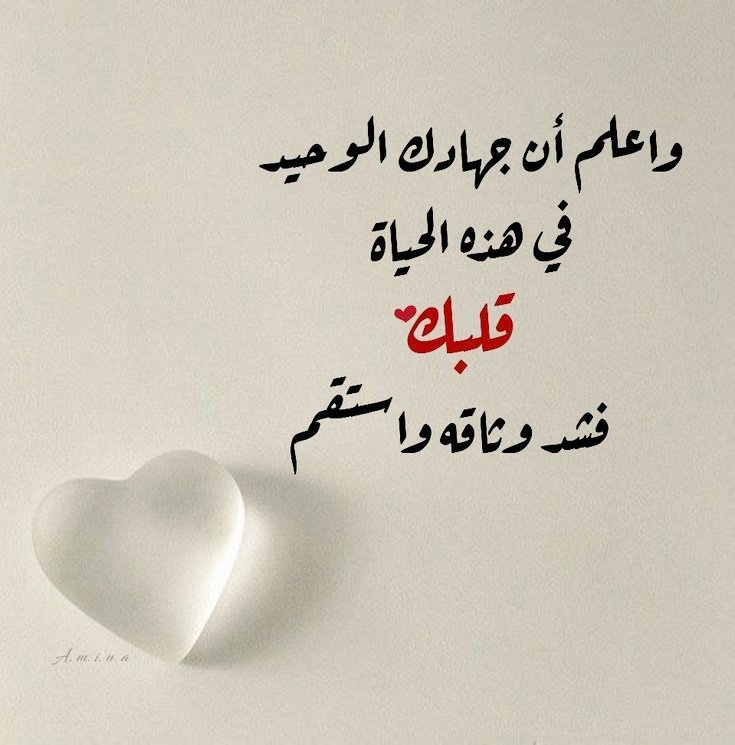 هُدُوء | سُكُون (@wn194) on Twitter photo 