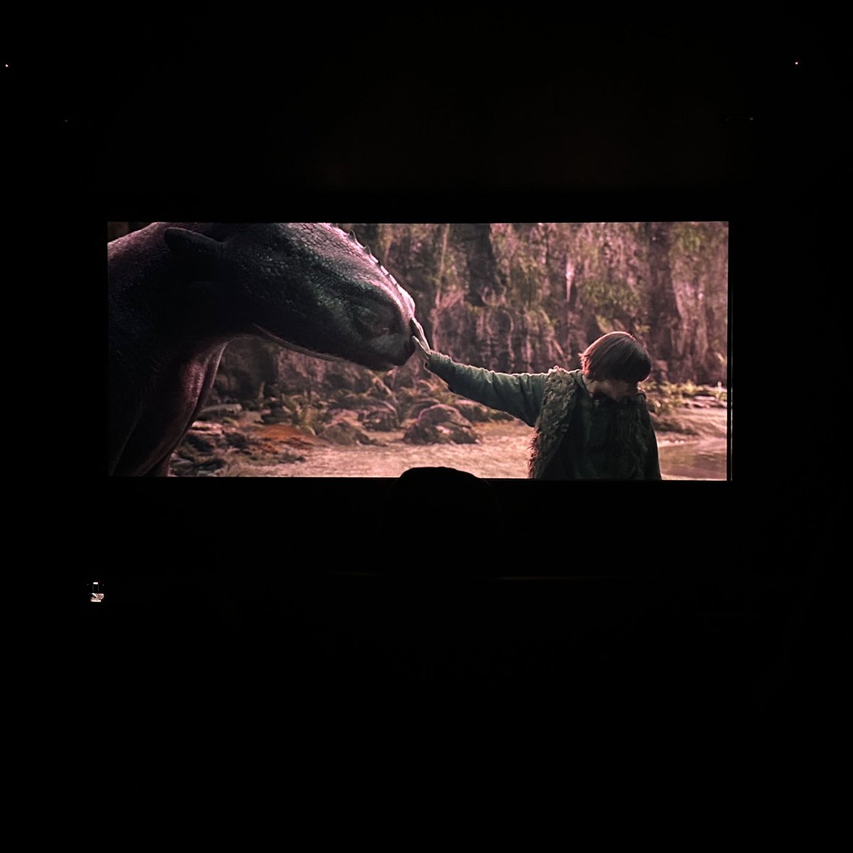 seophries's tweet photo. HOW TO TRAIN YOUR DRAGON LIVE ACTION WAS ACC SO GOOD YALLL i love toothless he's so cute https://t.co/MDj6XqGxa0