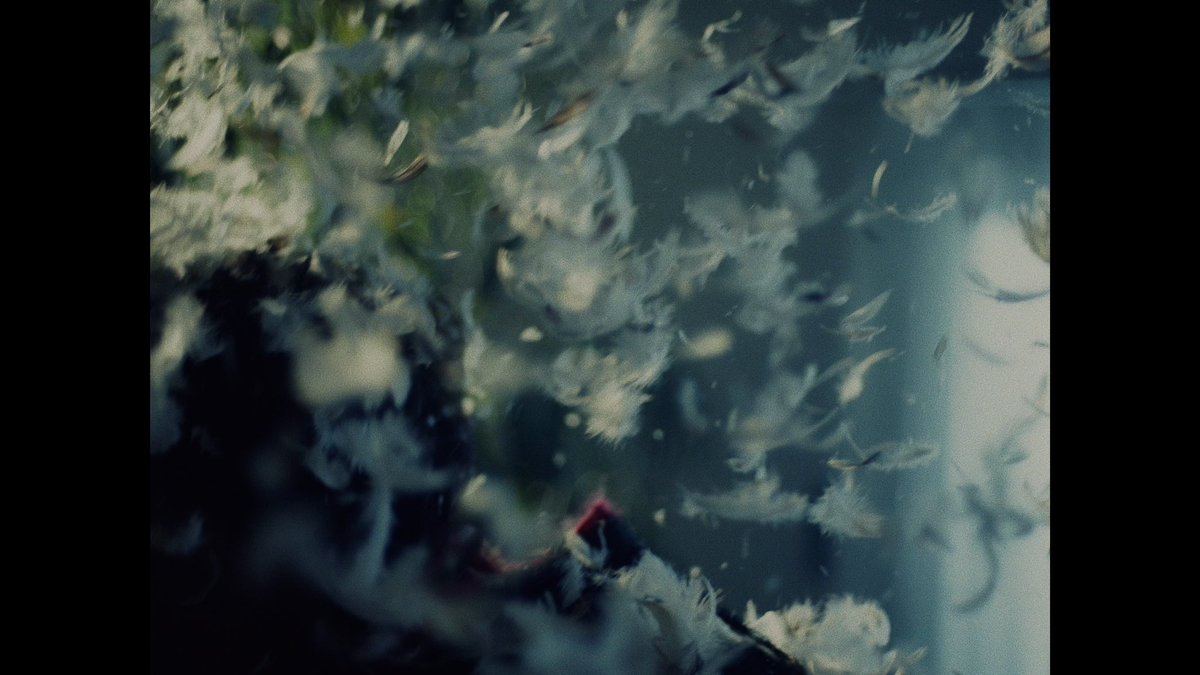 &gt;Works

ルイ「枕にキスした」 Music Video
<a href="/R_u_i_official/">ルイ</a> 

youtu.be/Bv18XFXuxgA?si…

Director : Junnosuke Ohba
1st AC : Daijiro Tachizawa
2nd AC : NOMK
Hair&amp;Make-up : Natsumi Taga
Stylist : Yuya Nakajima
Stylist Assistant : Takuki Yamabayashi
Production Assistant : Ayaka Nishio