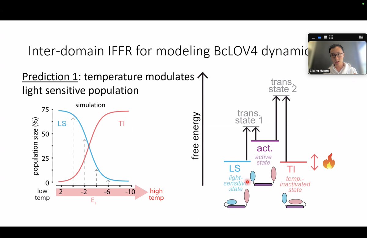 YoungBiophyMeet's tweet image. We had three compelling talks from Zikang (Dennis) @DennisHuang21 , Mariia and Jacopo @jcppsqln in the last session of YBM.

See you all next month (7th July at 11am EDT)!

Sign up here to stay updated: forms.gle/MF2Q2jpeeqxyZJ…